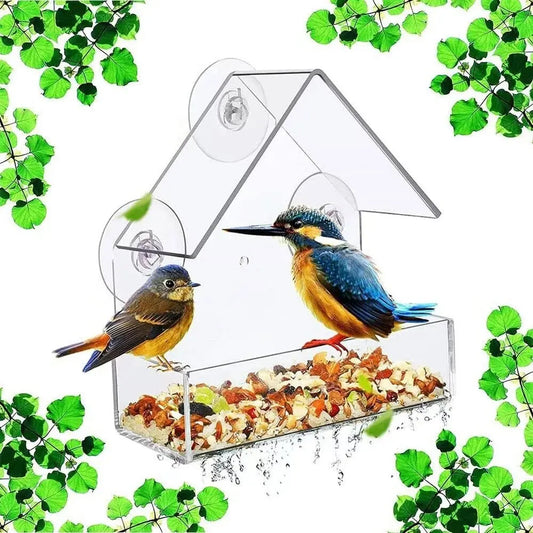 Acrylic Bird Feeder With Suction Cup