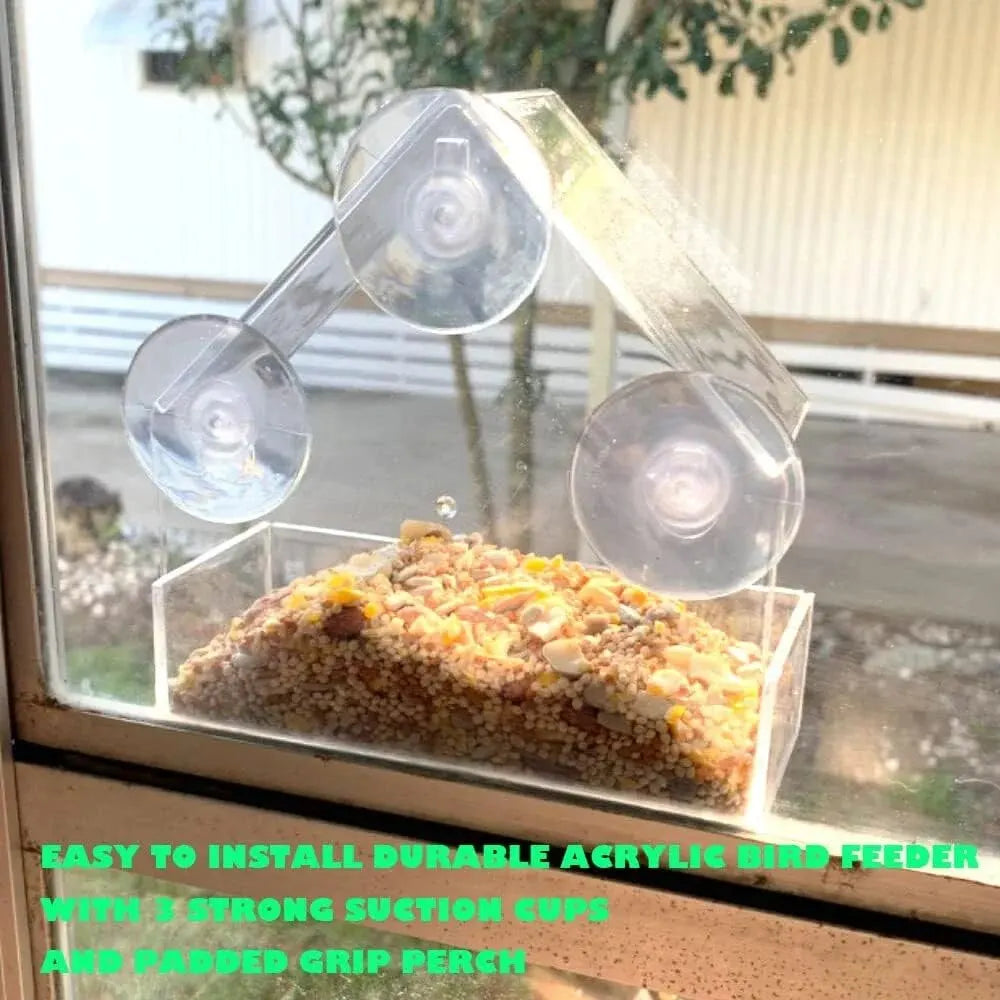 Acrylic Bird Feeder With Suction Cup