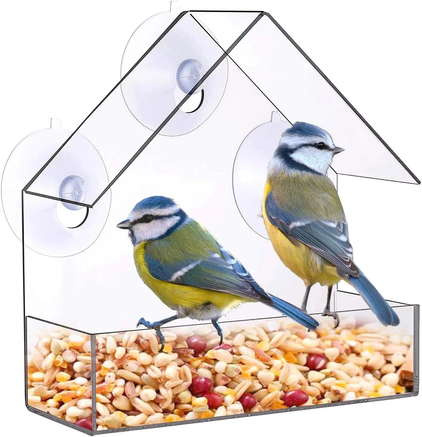 Acrylic Bird Feeder With Suction Cup